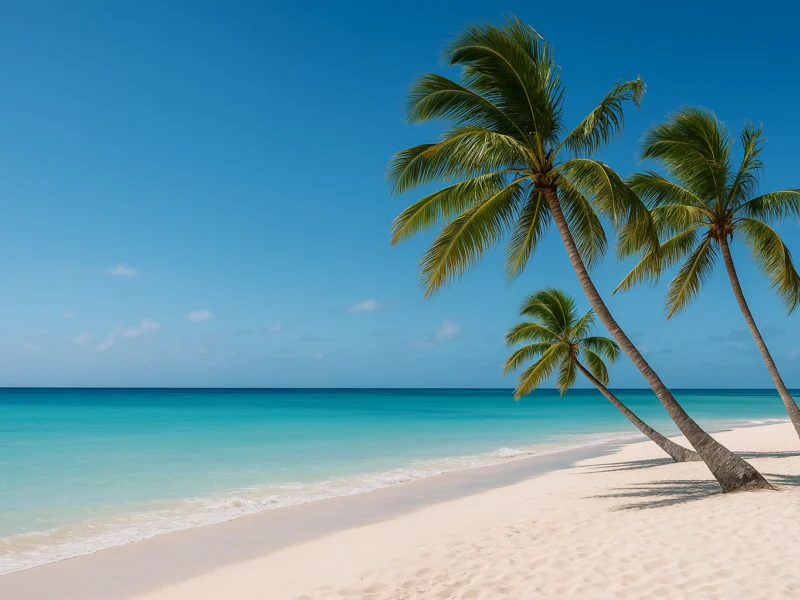 Beste reistijd Aruba: zo kies je de juiste maand