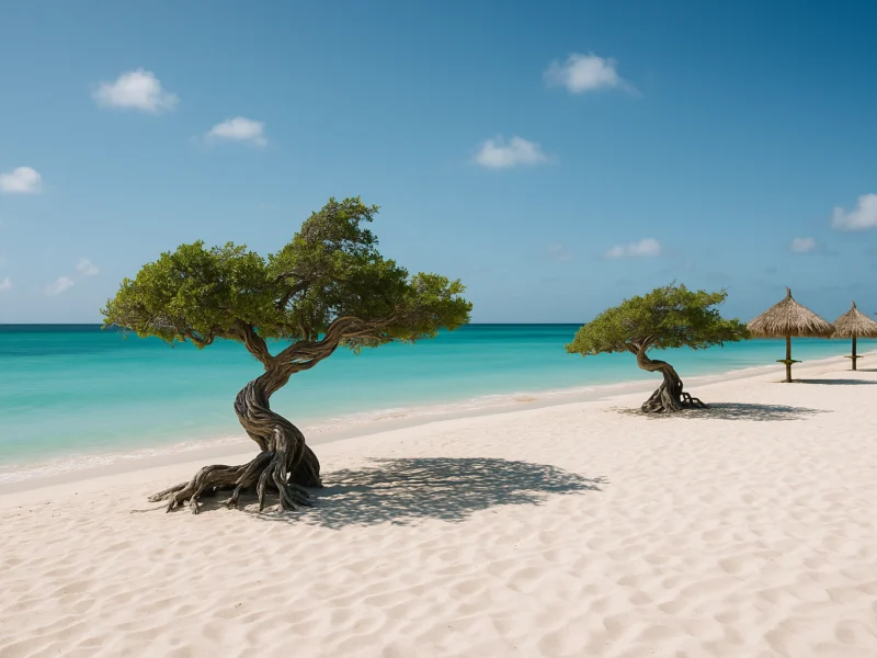 Mooiste stranden op Aruba voor elke soort stranddag